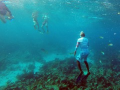 Carl and Snorkelers