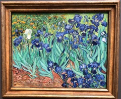 van Gogh - Irises at Saint-Paul Assilum 