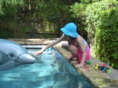 Nice Dolphin Gogan