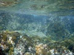 SH reef right side