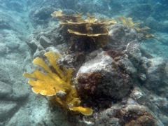 Gallows Reef