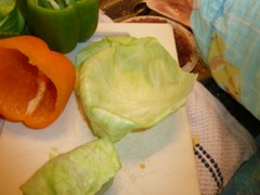 16 Soft cabbage leaf