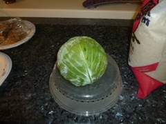 04 Cabbage