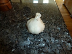 05 Garlic