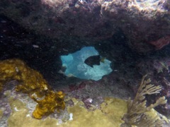 Crabcove Reef