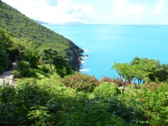 Our View from D4 on Guana Island