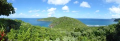 Beautiful Guana Island