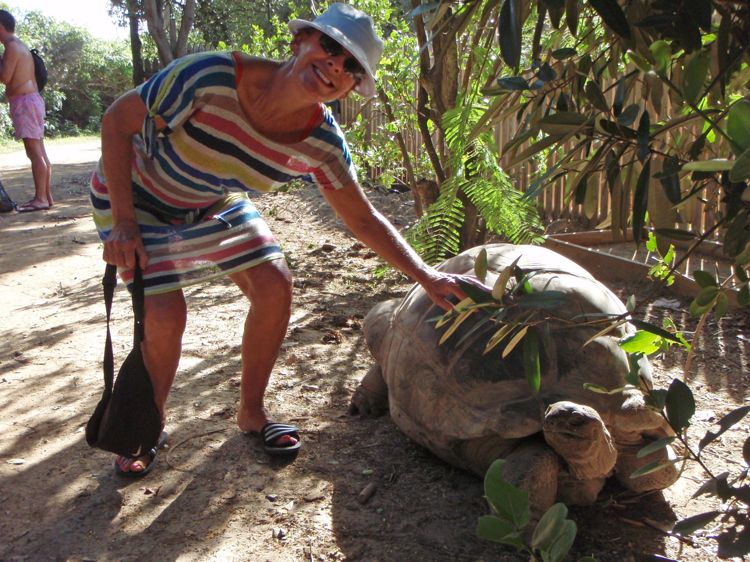 Janna petting Galápagos tortoise