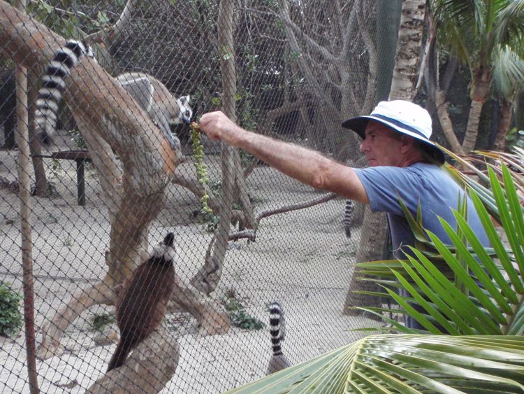 Michael Feeding the Lemurs