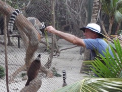 Michael Feeding the Lemurs