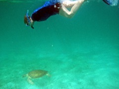 Sharon with Green Sea Turtle