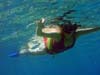 210 Beth snorkeling