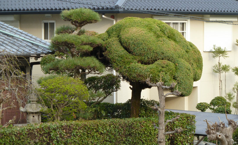 19 Japanese Garden