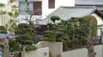 20 Japanese Garden