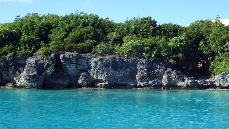 Coral Rocks