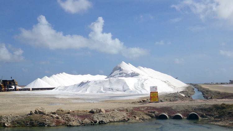 Sea Salt Pile