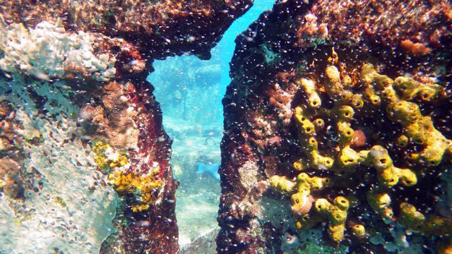 Ruined Pier