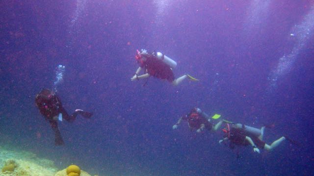 Peoplefish