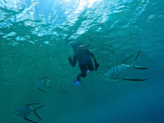 Sharon with Palometa