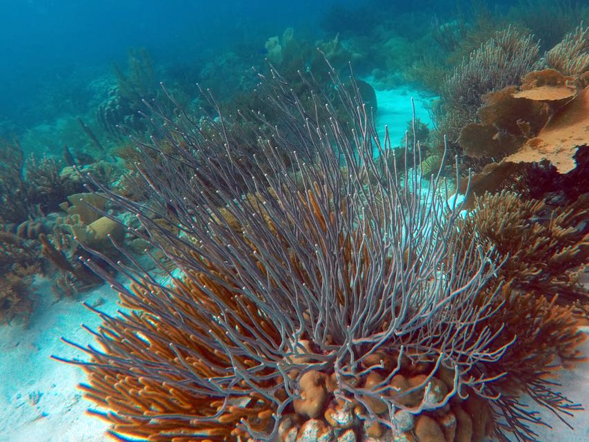 South Klein Bonaire