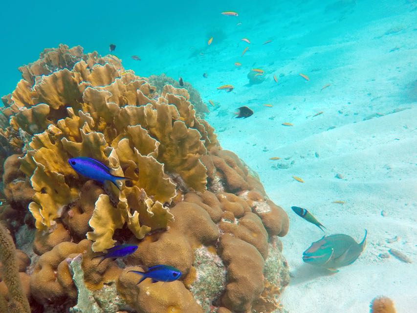 South Klein Bonaire