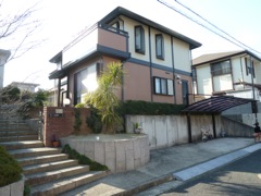 Japanese Stein's Home