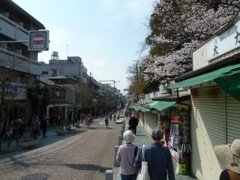 Streets of Nara