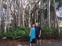 Sharon & Bob by a Banyon Tree