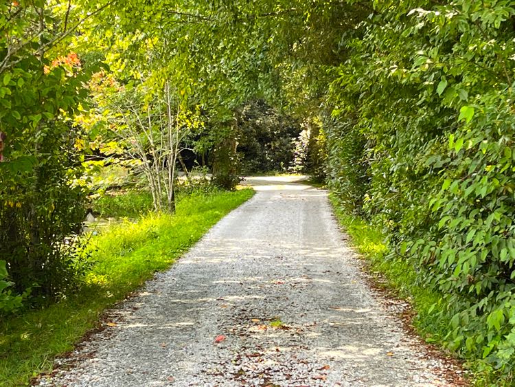 One of the walking trails