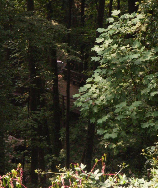 045 Sharon taking our pic