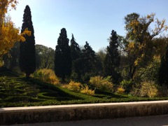 The Gardens