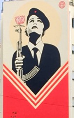 Carnation Revolution