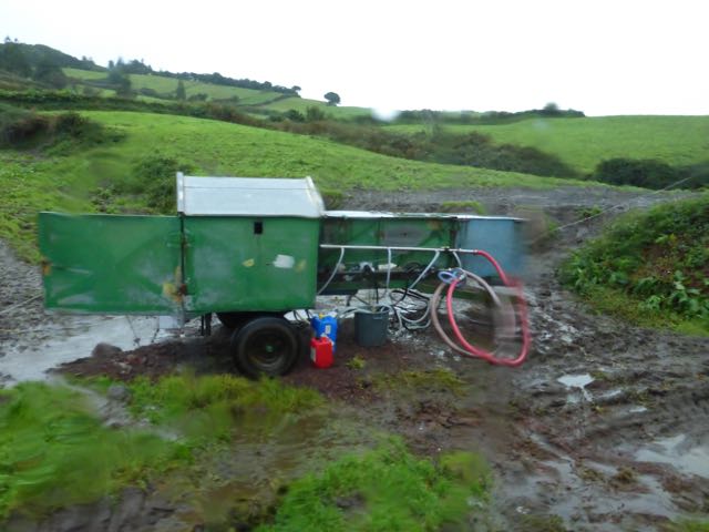 Milking Machine on Faial