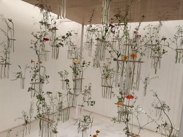 Test-tube flowers