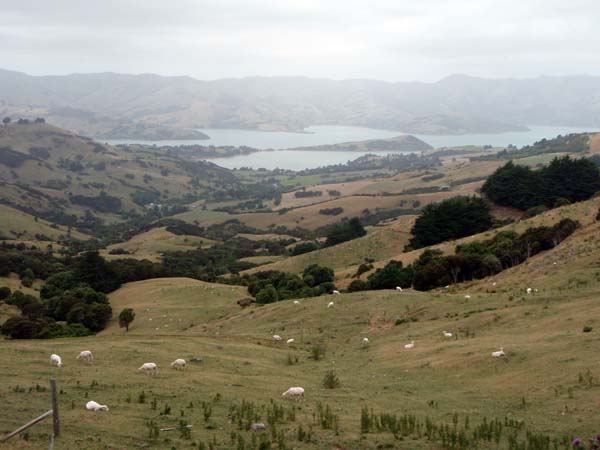 054 Akaroa Valley
