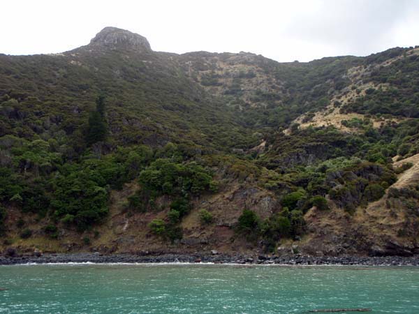 074 Reforestation effort