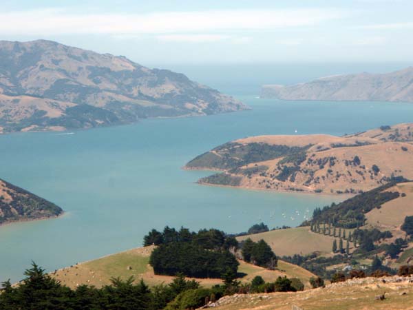 102 Akaroa and Pacific