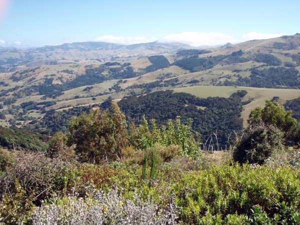 103 Bank's Penninsula