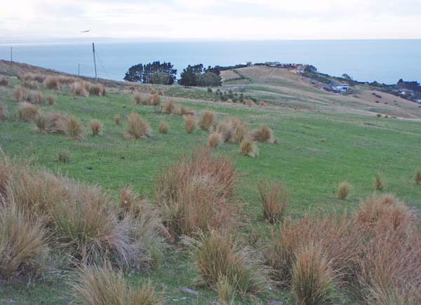 194 Where Dana and Andy met