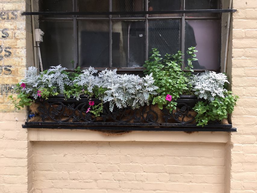 French Quarter Window Garden