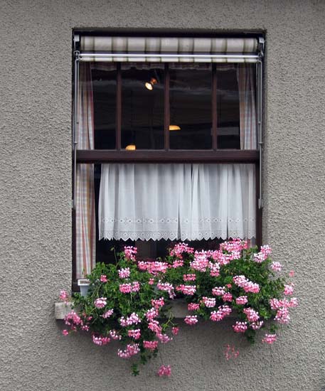 081 Wengen Windowbox (s)