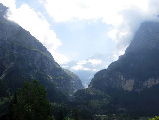 237 Wetterhorn