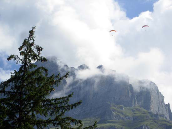 245 Paraglyder Pair