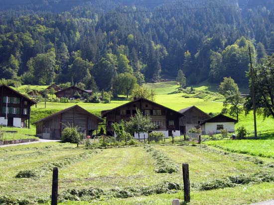 255 Swiss farm (S)