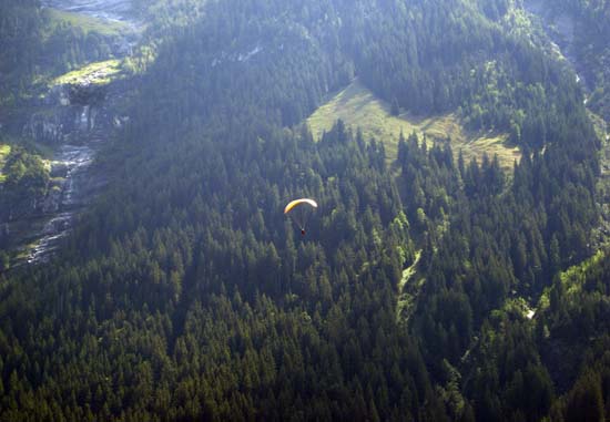 256 Paraglyder