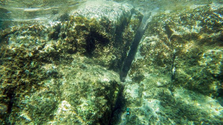 Turner Bay Reef