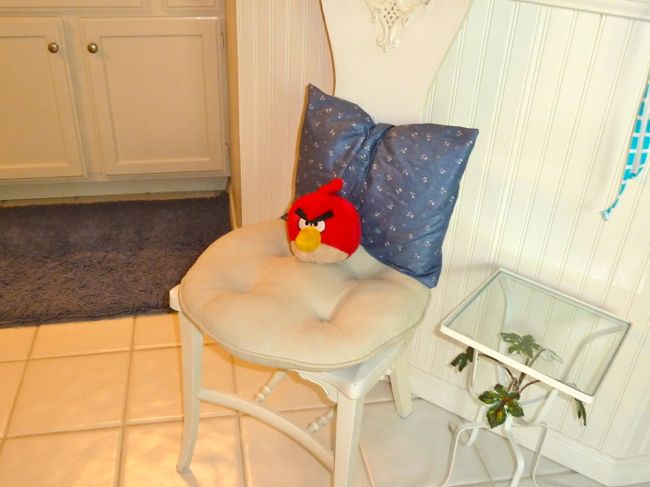 100 Angry Bird