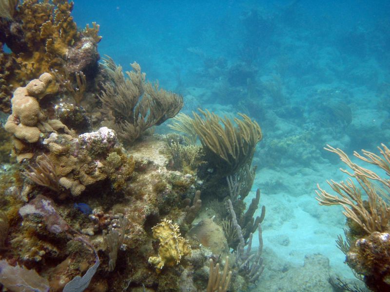 Mountain Trunk Bay (right)