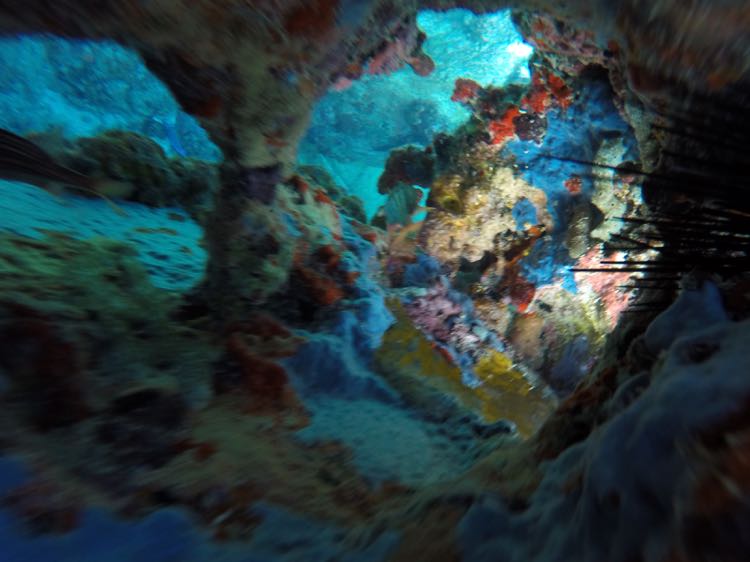 Spring Bay under a shelf