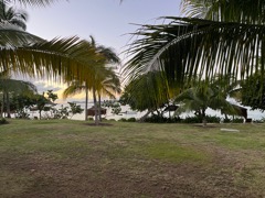 View from patio